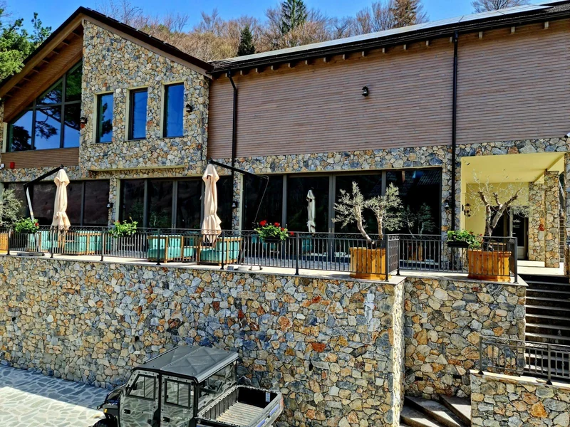 Pensiunea Vlădurel, fotografia 4